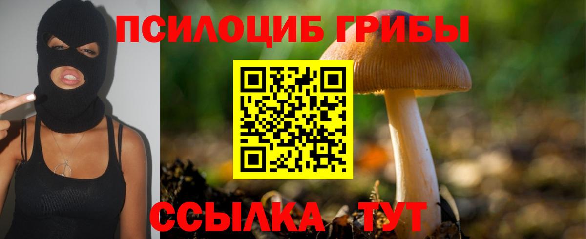 Галлюциногенные грибы Psilocybine cubensis  Галлюциногенные грибы мухоморы  Лабинск  Вход с VPN 